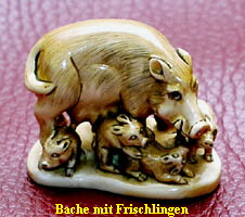 Bache mit Frischlingen